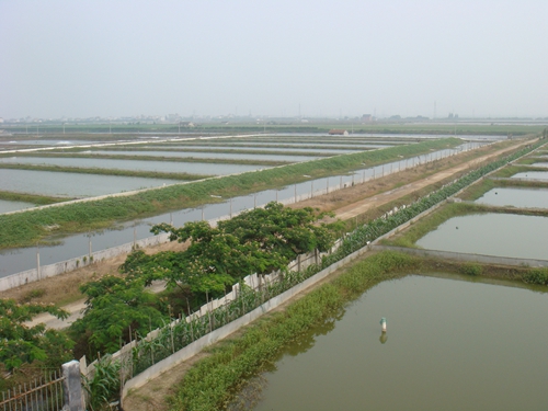 水产养殖基地