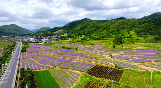 萧山最美山水毅行即将在楼塔开赛——萧山网 中国县(市,区)第一网